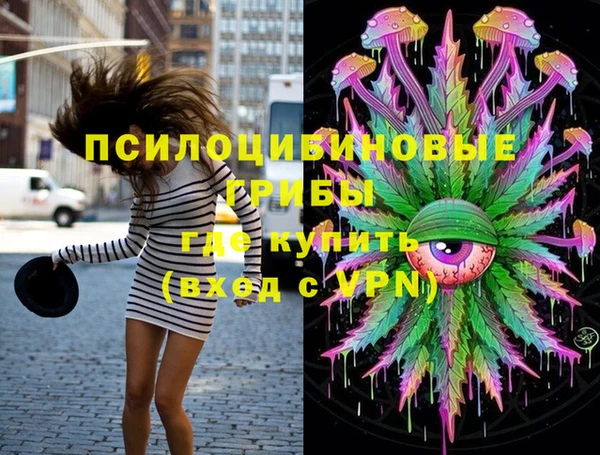 индика Армянск
