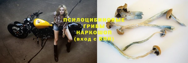 индика Армянск