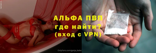 индика Армянск