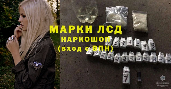 индика Армянск
