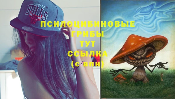 экстази Арсеньев
