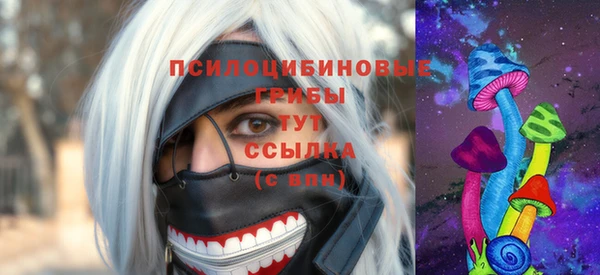 индика Армянск